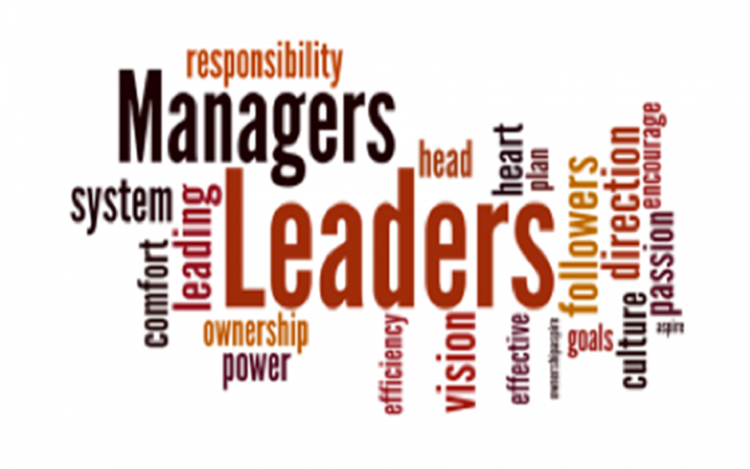 Leadership for High Potential Managers